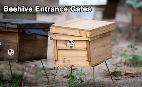 bee hive nuc box entrance gates entrance disc stainless steel|Bee Hive Nuc Box Entrance Gates, 4.92'' Diameter Stainless .